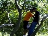 Tarzan