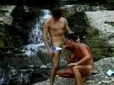 Penis Paradise